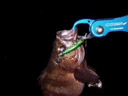 http://www.smith.co.jp/product/salt/sminnow/2.jpg
