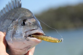 Australian Angling Online Fishing Tackle Store for SMITH LTD and VARIVAS  Fishing products