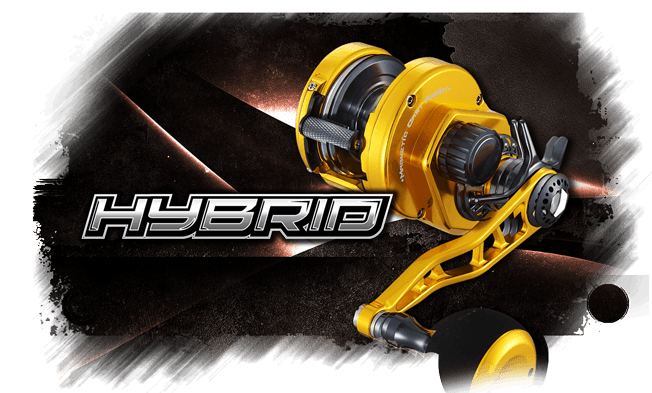 MAXEL HYBRID HY20C