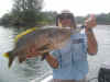 Black Bass Papua New Guinea.jpg (178066 bytes)