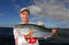 Michael Guest Kingfish & Smith Ltd Nagamasa