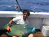 Maori Wrasse Popper Fishing WRC- 80P/35 Rod