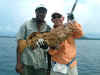 cod baia.jpg (77065 bytes)