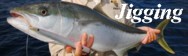 Jigging