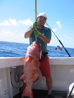 16.8 Kilogarm Coral Trout Cairns Australia